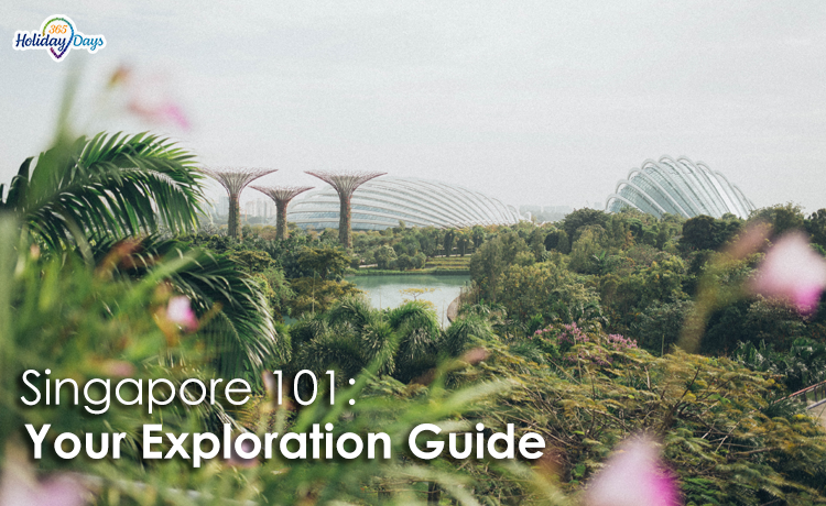 Singapore 101: Your Exploration Guide
