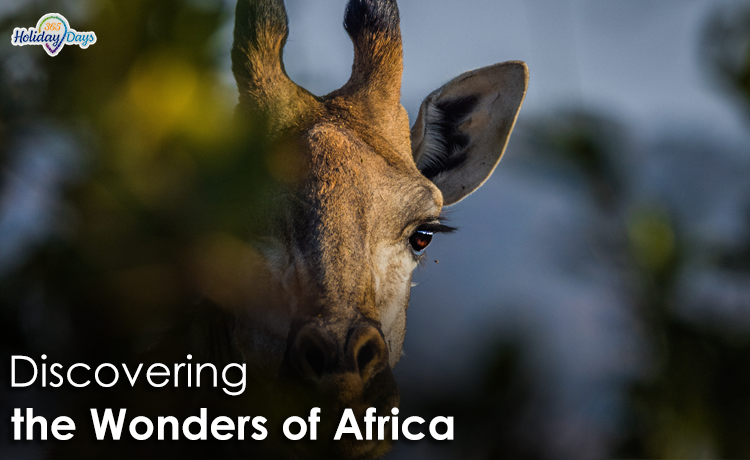Discovering the Wonders of Africa: A Journey Through the Continent