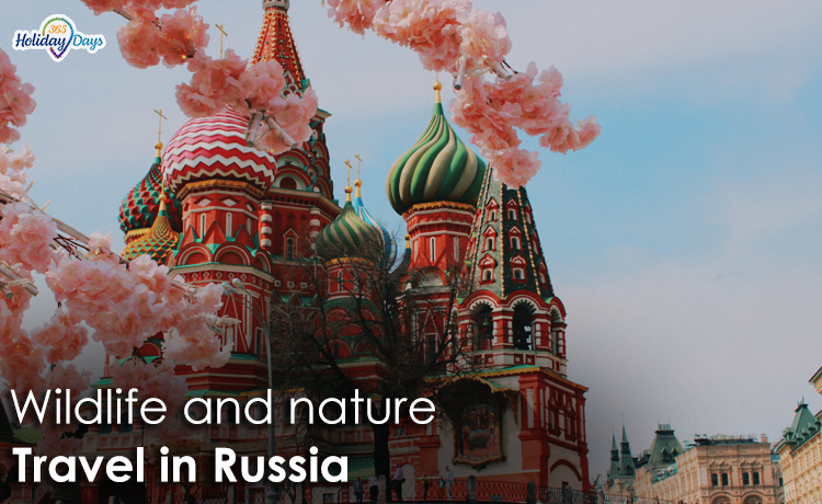 6 Wildlife and Nature Adventures Awaiting You in Russia