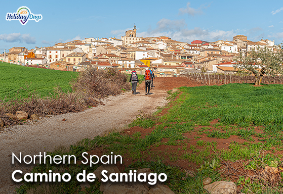 The Camino de Santiago: A Pilgrimage through Northern Spain