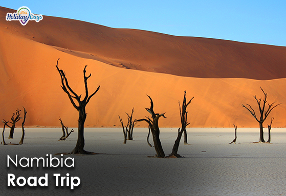 Namibia’s Otherworldly Landscapes: A Road Trip through the Desert
