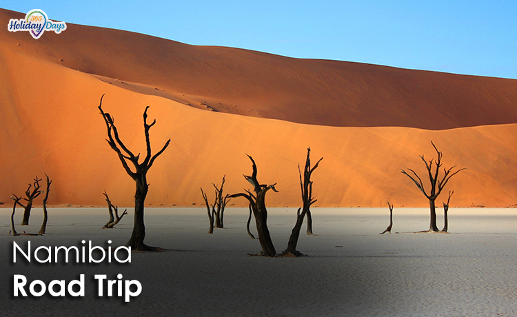 Road trip in Namibia