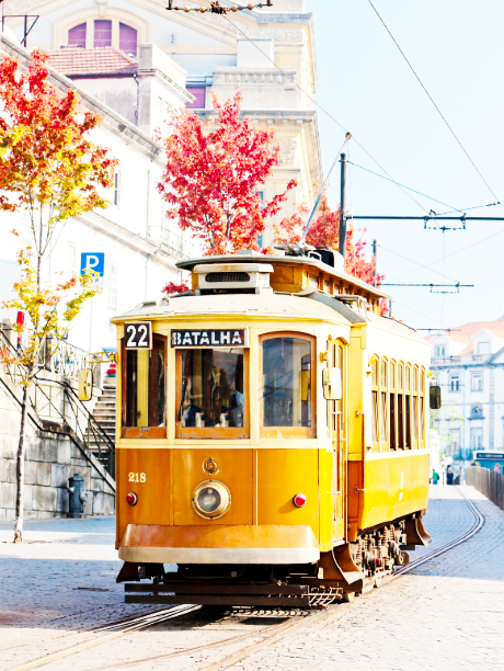 Trams in Porto