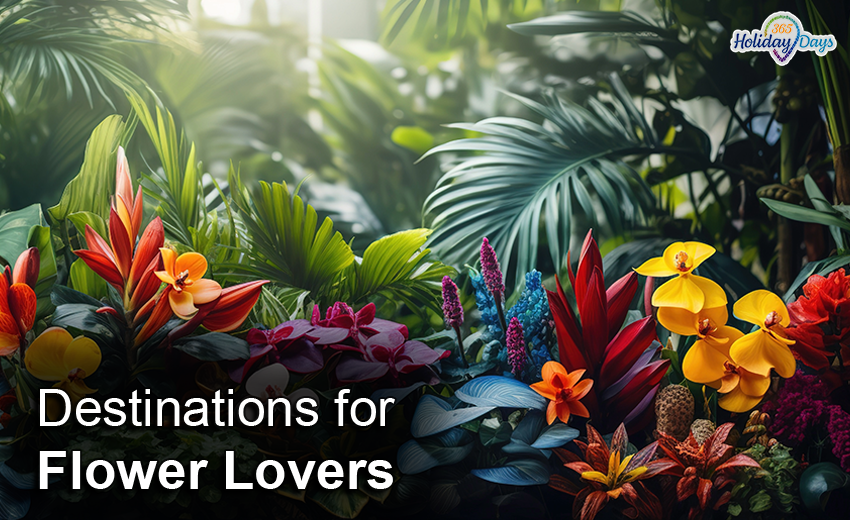 Destinations for flower lovers
