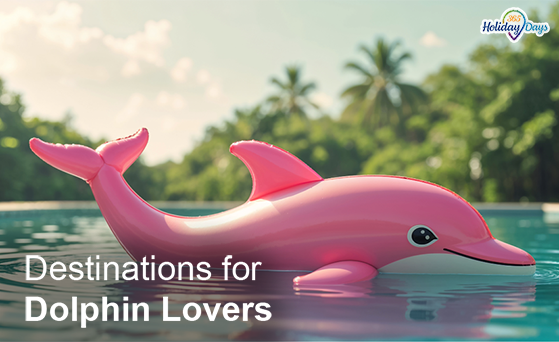 TOP 5 Destinations for Dolphin Lovers